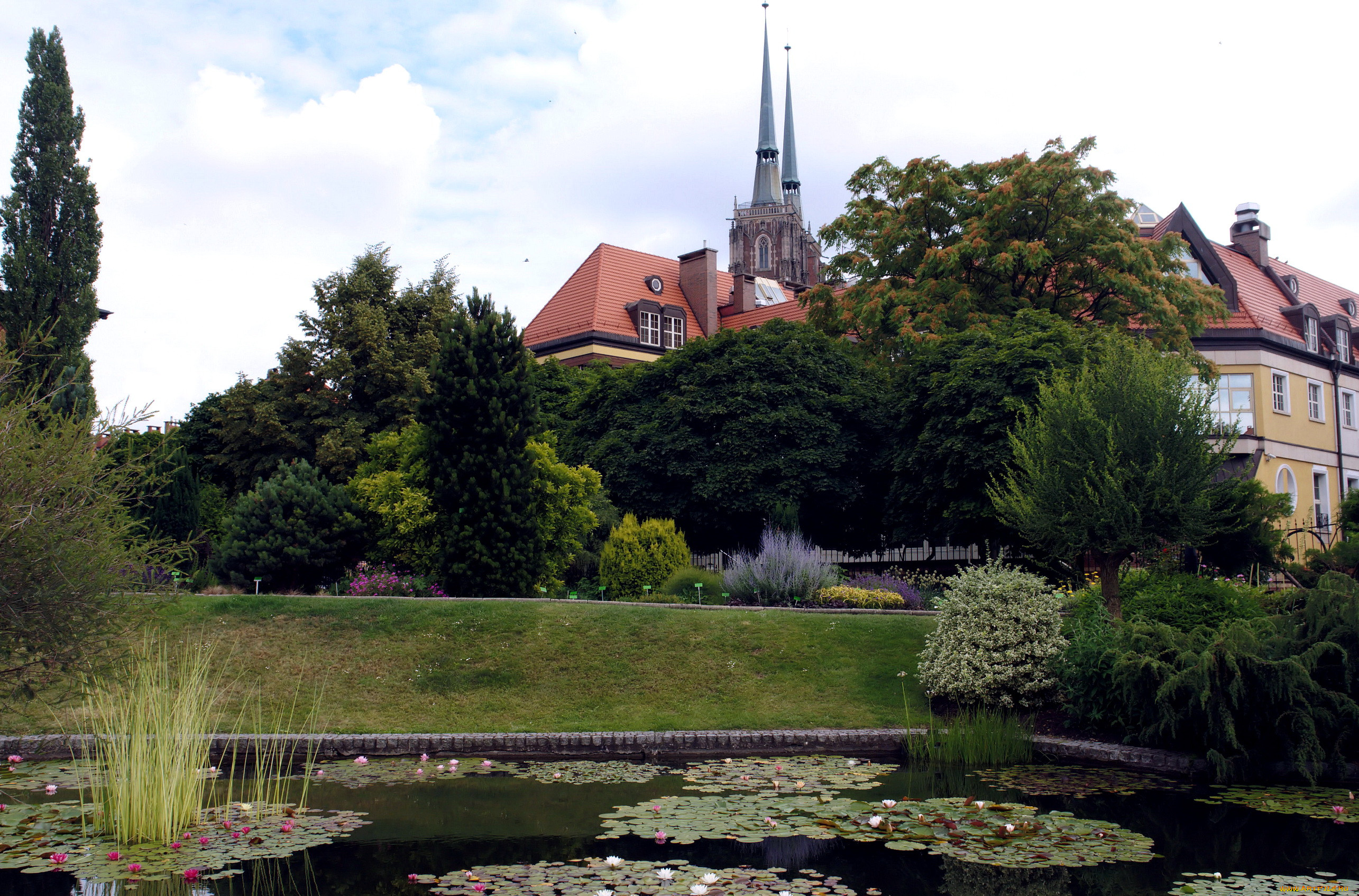 garden, wroclaw, poland, , 